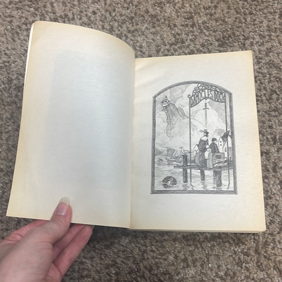 A series of unfortunate events book the third, the wide window by lemony Snicket - Picture 9 of 12
